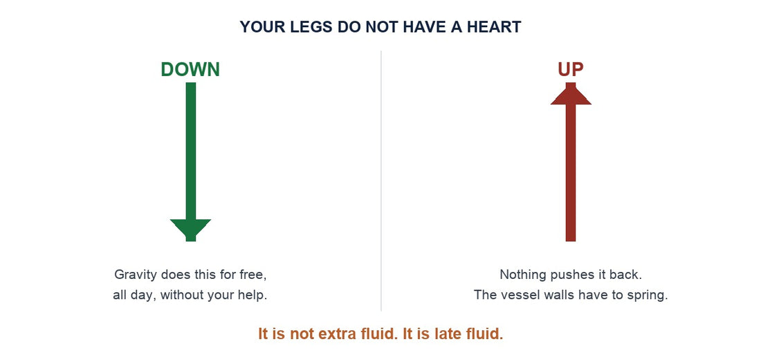 Fluid travels down for free but nothing pushes it back up