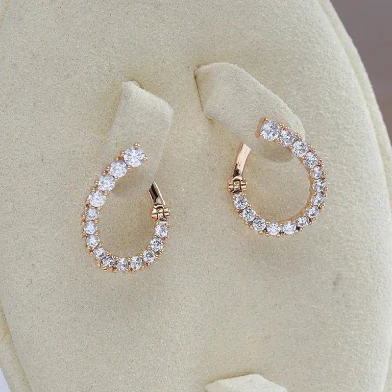 Earrings Brilliant Circle