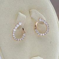 Earrings Brilliant Circle