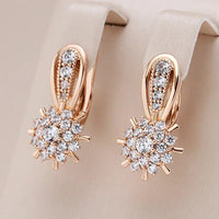 Elegant, shiny earrings